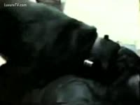 Fucking Hot Black Dog fucks chap with a hoodie